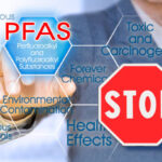 istockphoto-1491646416-612x612