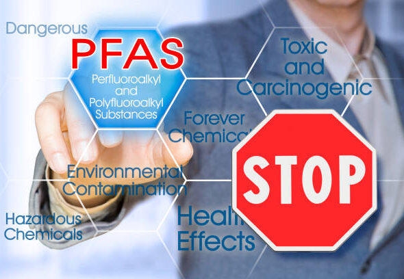 istockphoto-1491646416-612x612