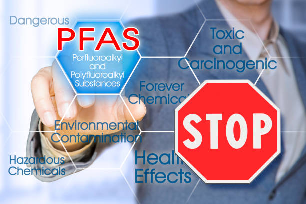 istockphoto-1491646416-612x612